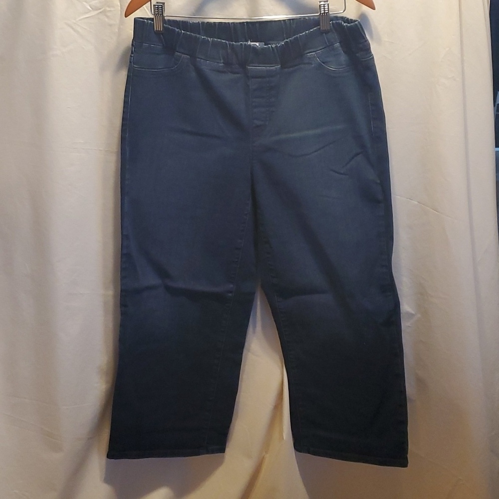 Eileen Fisher Slip On Jeggings SZ MD